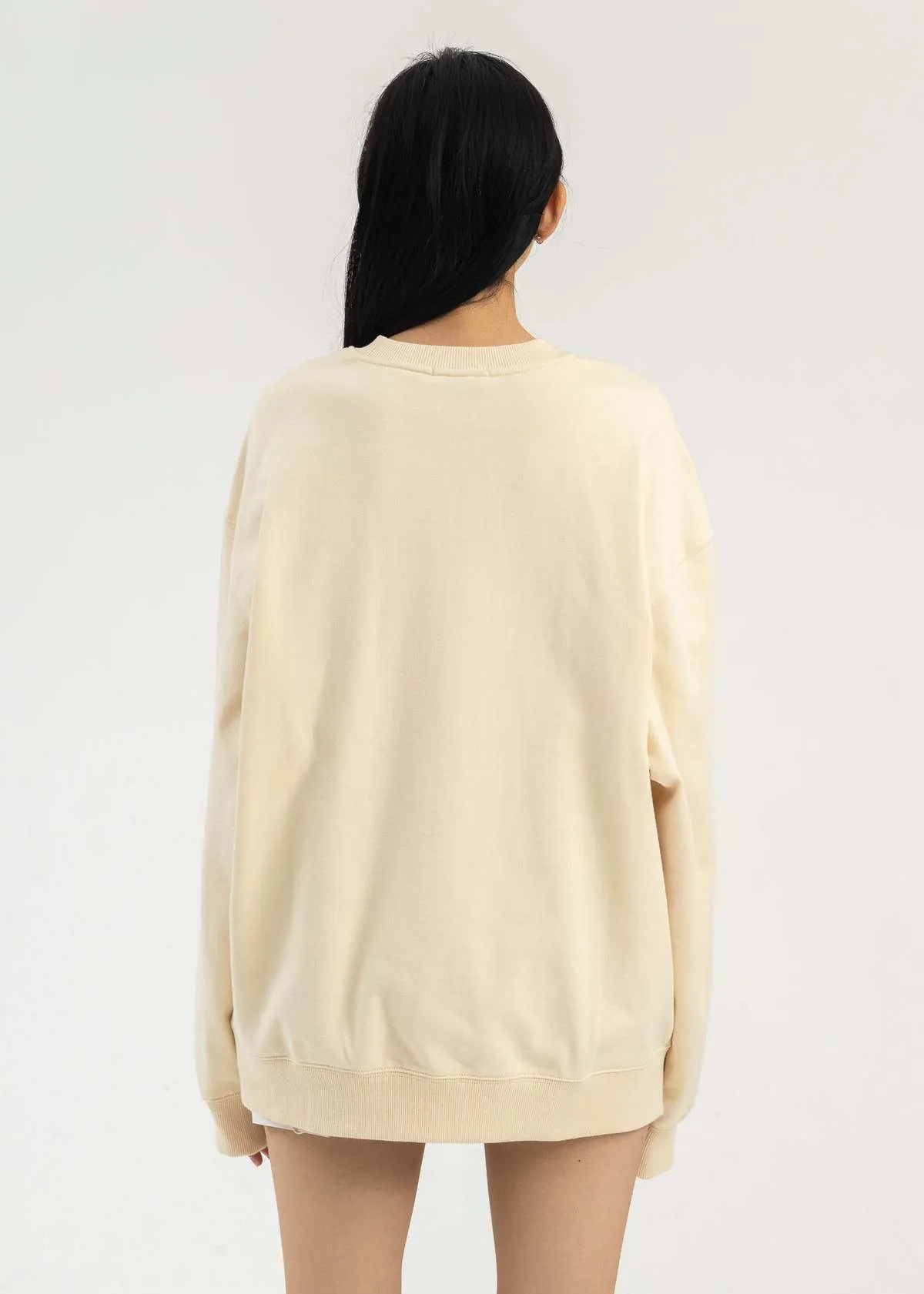 EMBROIDERY PATCHWORK CREWNECK sweater - BEIGE