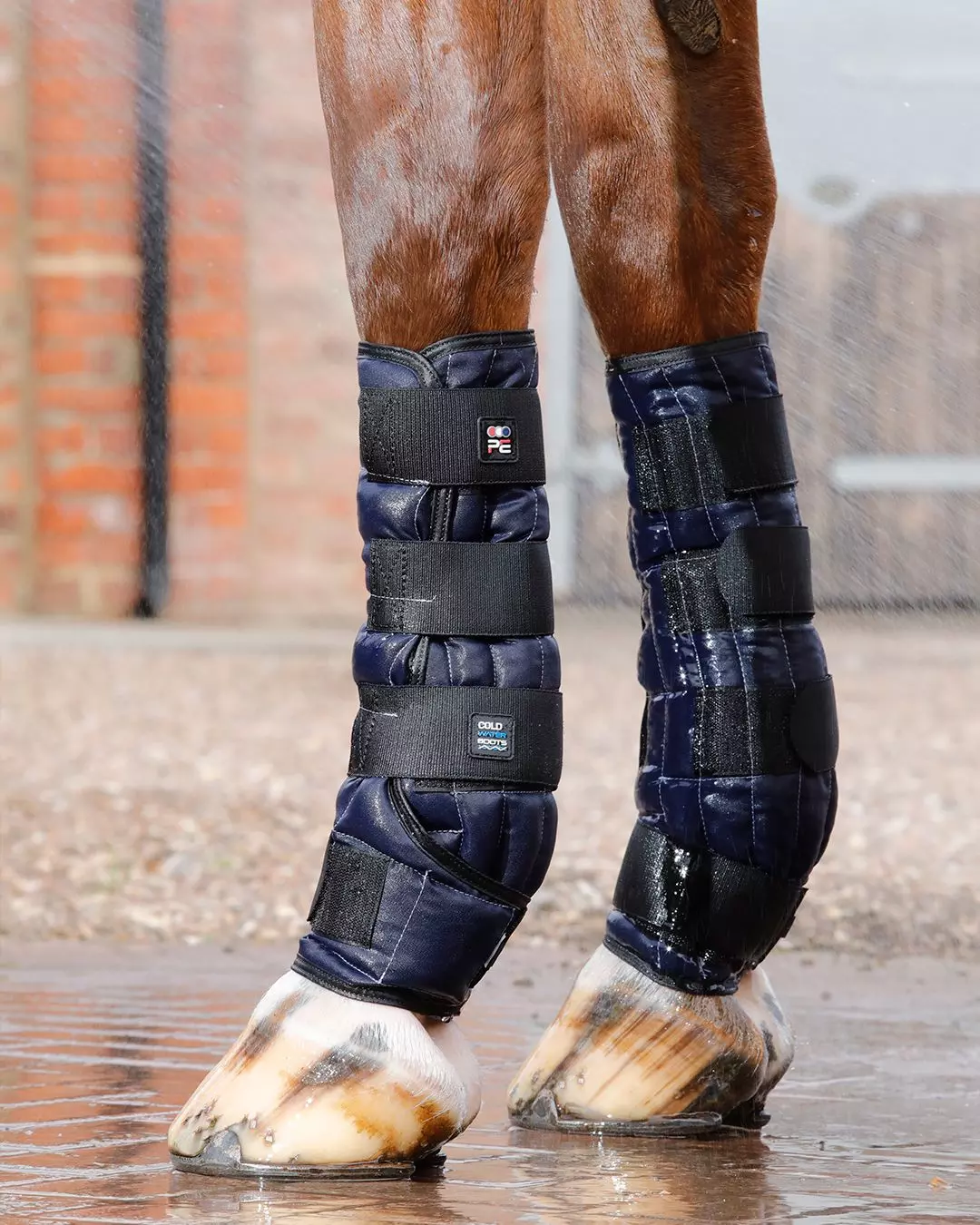 Premier Equine Cold Water Boots